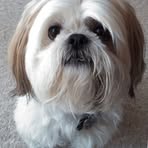 Susan Heffner - Facebook