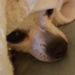 Susan Heil - @susan.heil.7 - Instagram