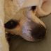 Susan Heil - Facebook