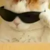 Susan Heil - @susanheil575 - TikTok