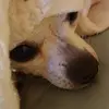 susanheil187 - @susanheil187 - TikTok