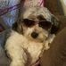 Susan Helmick - Facebook