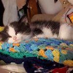 Susan Helmick - @susan.helmick.7 - Instagram