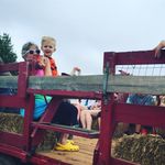 Susan Hendrick - @hendrick7527 - Instagram