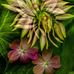 Susan Hendrick - Facebook