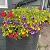 Susan Hendrick - @susan.hendric - TikTok