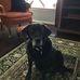 Susan Henn - Facebook