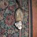 Susan Henn - Facebook