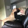 susanhenninglowde - @sml5793 - TikTok