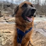Susan Henrikson - @shecalledmesusieq - Instagram