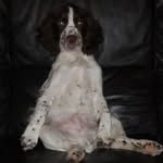 Susan Carol Heppell - @susanheppell - Instagram