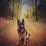 Susan Herrmann - @susanherrmann76 - Instagram
