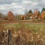 Susan Goldstein Hersh - @hersh.susan - Instagram