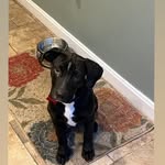 Susan Hersh - @bergenfield48 - Instagram