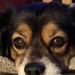 Susan Hershey - @susanhershey - Instagram