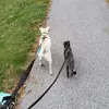susanhershey1 - @susanhershey1 - TikTok