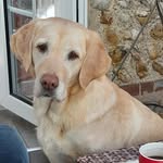 Susan Hession - @hession.susan - Instagram
