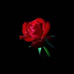 سوسن حیدری - @susanheydari2023 - Instagram