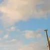 ._Susan_. - @susan.hey - TikTok