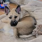 Susan Hey - @susanhey2 - Instagram