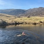 Susan Heyes - @susan.heyes2 - Instagram