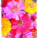 Susan Heyer - @lovnrockvillelife - Instagram