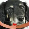 susanheyer847 - @susanheyer847 - TikTok