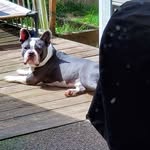 Susan Brehmeyer Hibbert - @susanbrehmeyer - Instagram