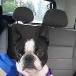 Susan Brehmeyer Hibbert - @sfbsmiles - Instagram
