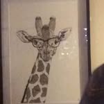 Susan Hibbert - @susan.hibbert.773 - Instagram