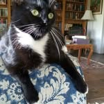 Susan Hibbert O'Shea - @susan.h.oshea - Instagram