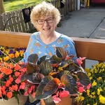 Susan Higbee - @higbee7637 - Instagram