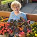 Susan Higbee - Facebook