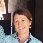 Susan Higbee - @higsue25 - Instagram