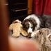 Susan Higham - Facebook