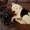 Susan Higham - @susan.higham7 - TikTok
