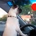Susan Highsmith - Facebook