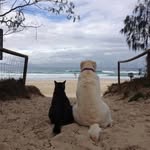 Susan Hiler-Hawthorne Jr. - @susanhilerhawthorne - Instagram