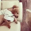 susanhiler - @susanhiler - TikTok