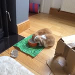 Susan Hillier - @susanhillier1248 - Instagram