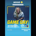 Susan Hinkle - @fastpitchfan - Instagram
