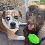 Susan Salisbury- Hinkle - @nursesue75 - Instagram