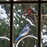 Susan Hirt Kraus - @susan.kraus.319 - Instagram