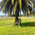 Susan Ellen Hise - @susanellenhise - Instagram