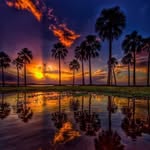 Sue Hitchens - @susan_hitchens - Instagram
