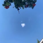 Susan Hitchens - @shitchens59 - Instagram