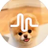 duhitzsusan - @duhitzsusan - TikTok