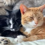 Susan Hoar - @hoarsusan - Instagram