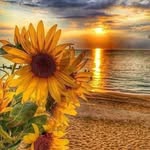 Susan Hoard - @susan.hoard - Instagram