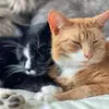 susanhoar5 - @susanhoar5 - TikTok